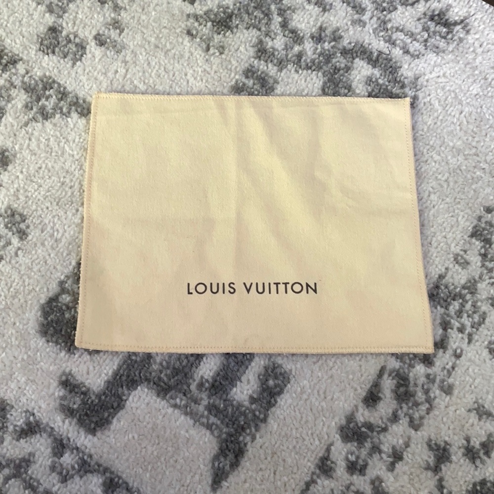 Louis Vuitton small accessory dustbag NEW